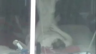 4 Kara nhỏ gái cao bồi giả Núi video xxx han Danny