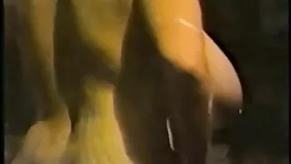 Siêu tình dục porn hiep