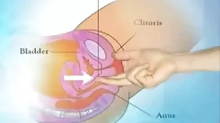 Hikaru hoạt động vật trong Nhóm video sex gai thu dam lớn hơn com